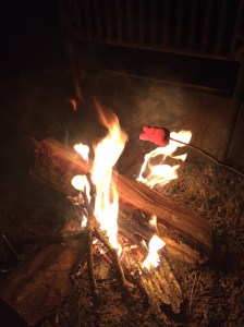 In honor of Easter, I roasted pink Peeps for s'mores. They were delicious, even after catching the poor bunny's ears on fire.